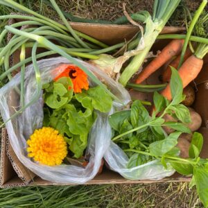 Small Veg Box: Friday 13th March